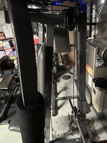 Body masters seated pec - seated,